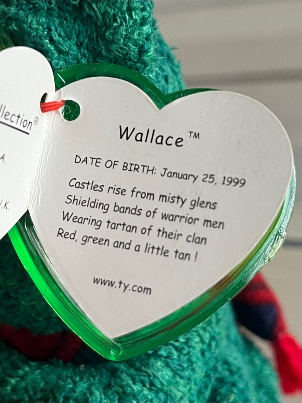 Ty 1999 Wallace Beanie Baby Green Plush Bear with Red Striped Scarf - Picture 4 of 4